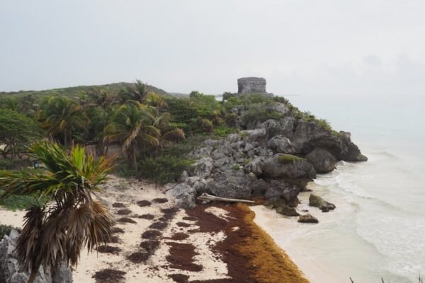 México advierte sobre playas contaminadas: cómo elegir destinos seguros este verano