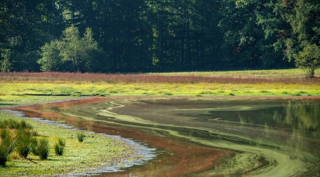 Parásito invisible: la ciclosporiasis amenaza la seguridad alimentaria en América
