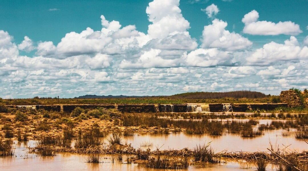 Cambio climático: la crisis silenciosa que desplaza a millones en América Latina