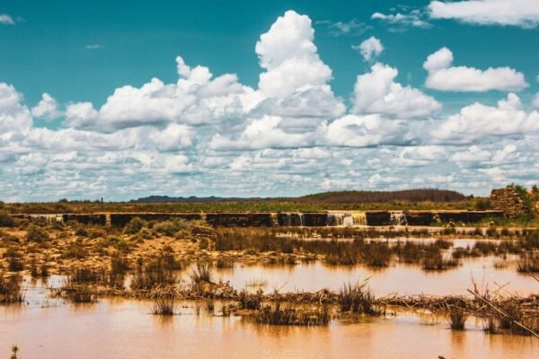 Cambio climático: la crisis silenciosa que desplaza a millones en América Latina