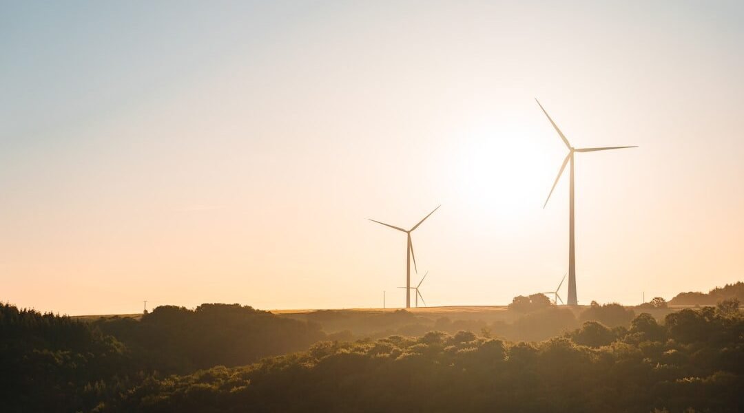 BBVA financia la COP31: ¿Greenwashing o compromiso climático real?