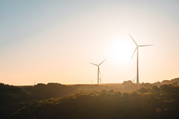 BBVA financia la COP31: ¿Greenwashing o compromiso climático real?
