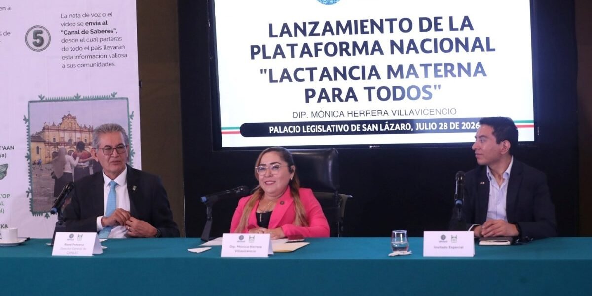 Lanzan plataforma digital para garantizar lactancia materna incluyente