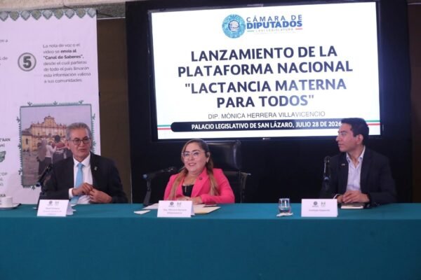 Lanzan plataforma digital para garantizar lactancia materna incluyente