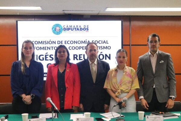 Cooperativas encuentran en el comercio electrónico su puerta al futuro digital