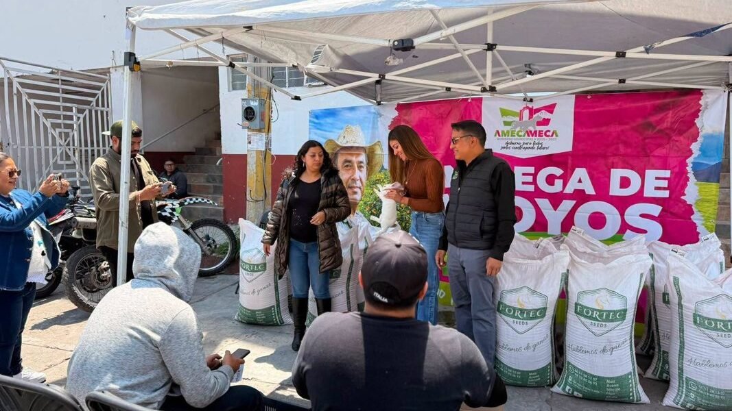 Amecameca refuerza apoyo al campo con entrega de semillas y animales