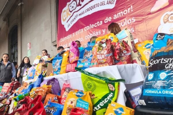 Amplían colecta de Croquetmanía hasta el 31 de julio para ayudar a animales rescatados