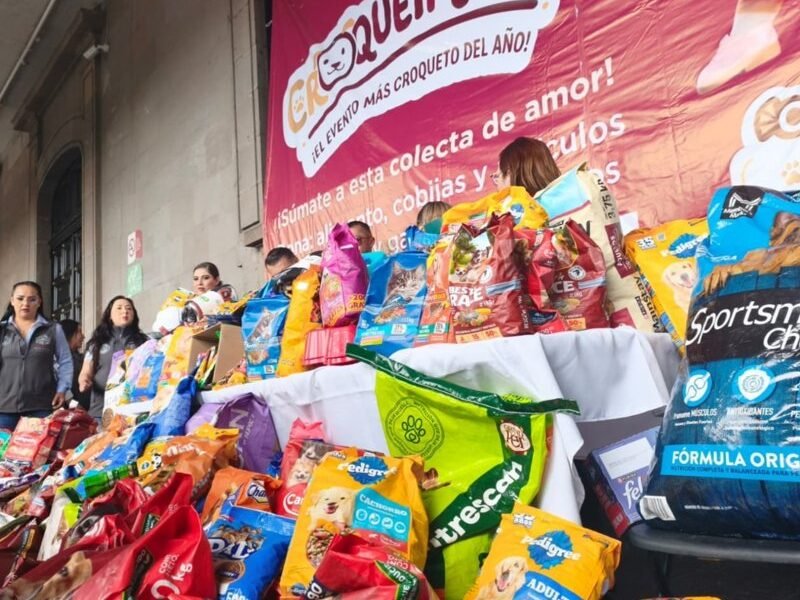 Amplían colecta de Croquetmanía hasta el 31 de julio para ayudar a animales rescatados