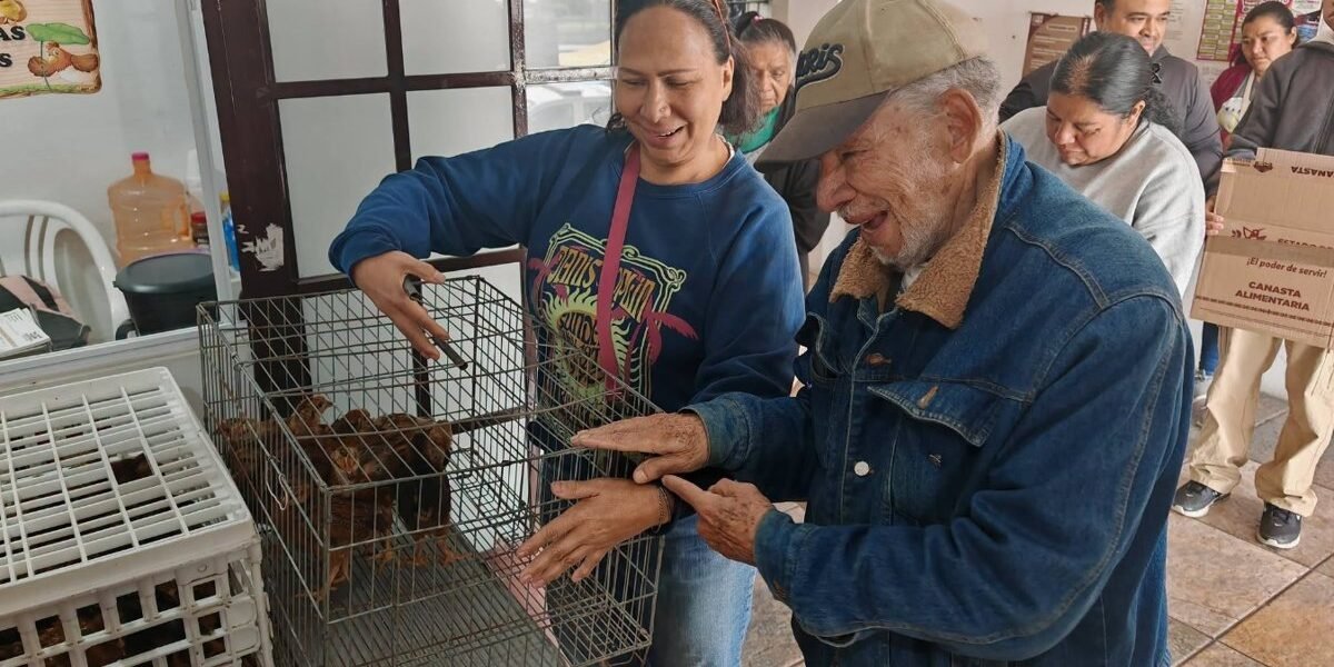 Amecameca entrega aves de traspatio para fortalecer economía familiar