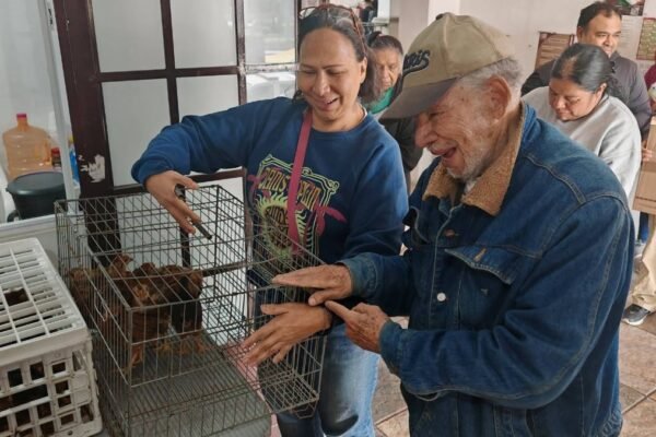 Amecameca entrega aves de traspatio para fortalecer economía familiar