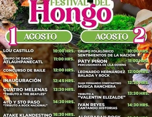 Amecameca prepara la edición 2026 del Festival del Hongo con música, gastronomía y arte