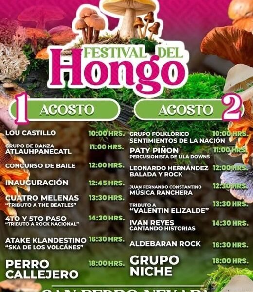 Amecameca prepara la edición 2026 del Festival del Hongo con música, gastronomía y arte