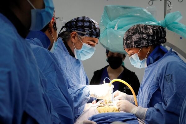IMSS logra exitosa jornada de 16 cirugías de columna entre Sonora y Sinaloa