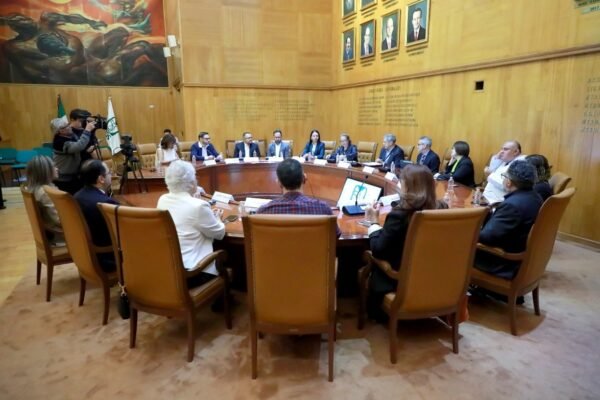IMSS y Brasil fortalecen cooperación para crear hospitales resilientes