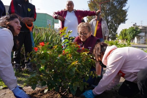 La Paz inicia segunda campaña de reforestación con más de 350 plantas