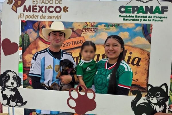 23 perros encontraron hogar en Destinos Futboleros del Edomex