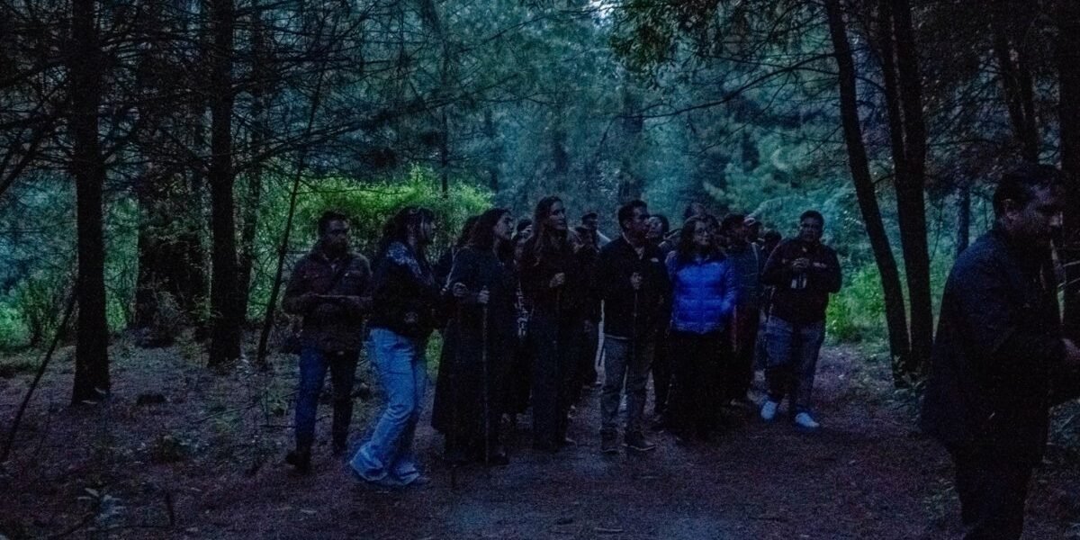 Festival Internacional de las Luciérnagas 2026 convoca a 57 mil visitantes