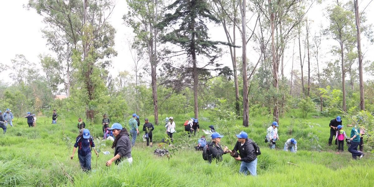Naucalpan planta 60 árboles en jornada de reforestación del Parque La Hoja