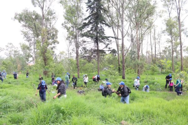 Naucalpan planta 60 árboles en jornada de reforestación del Parque La Hoja