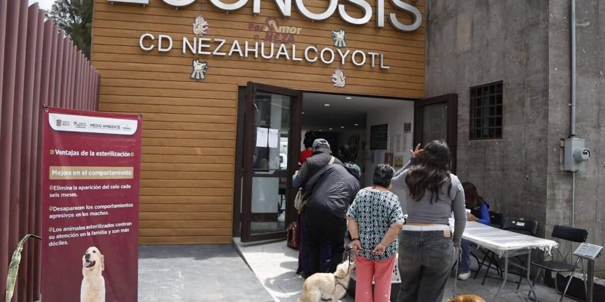 Nezahualcóyotl logra colocar 100 mascotas en adopción durante 2026