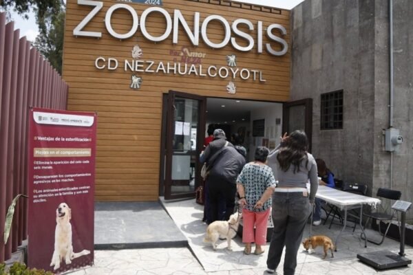 Nezahualcóyotl logra colocar 100 mascotas en adopción durante 2026