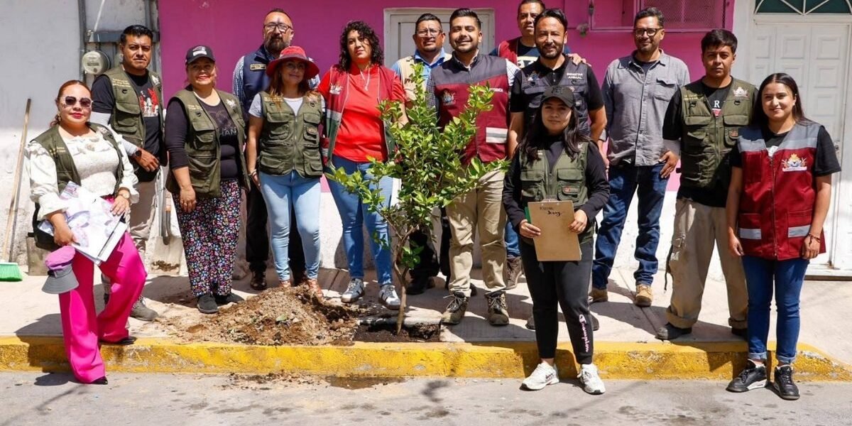 Nezahualcóyotl plantará 8 mil árboles para combatir el calor urbano