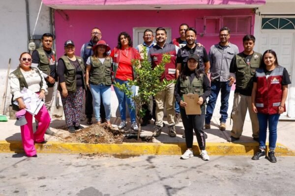 Nezahualcóyotl plantará 8 mil árboles para combatir el calor urbano