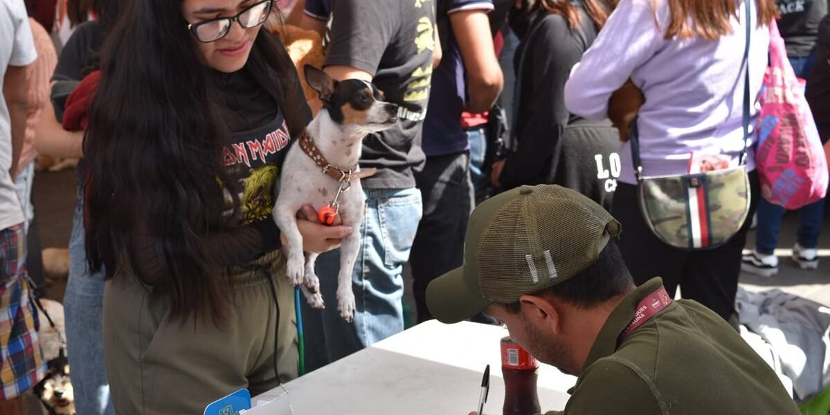 México suma 19 mil servicios veterinarios gratuitos en su estrategia de bienestar animal