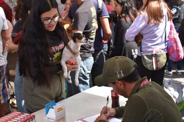 México suma 19 mil servicios veterinarios gratuitos en su estrategia de bienestar animal