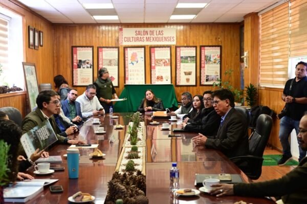 Probosque y medios públicos se alían para difundir cultura forestal