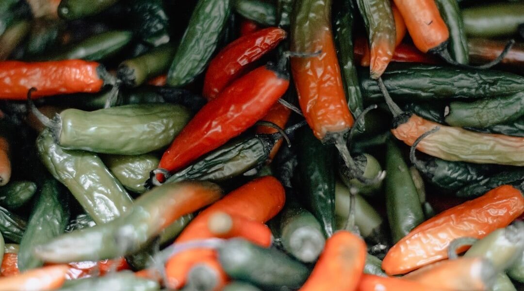 Salmonela en jalapeños: qué sabemos del brote detectado entre México y EU