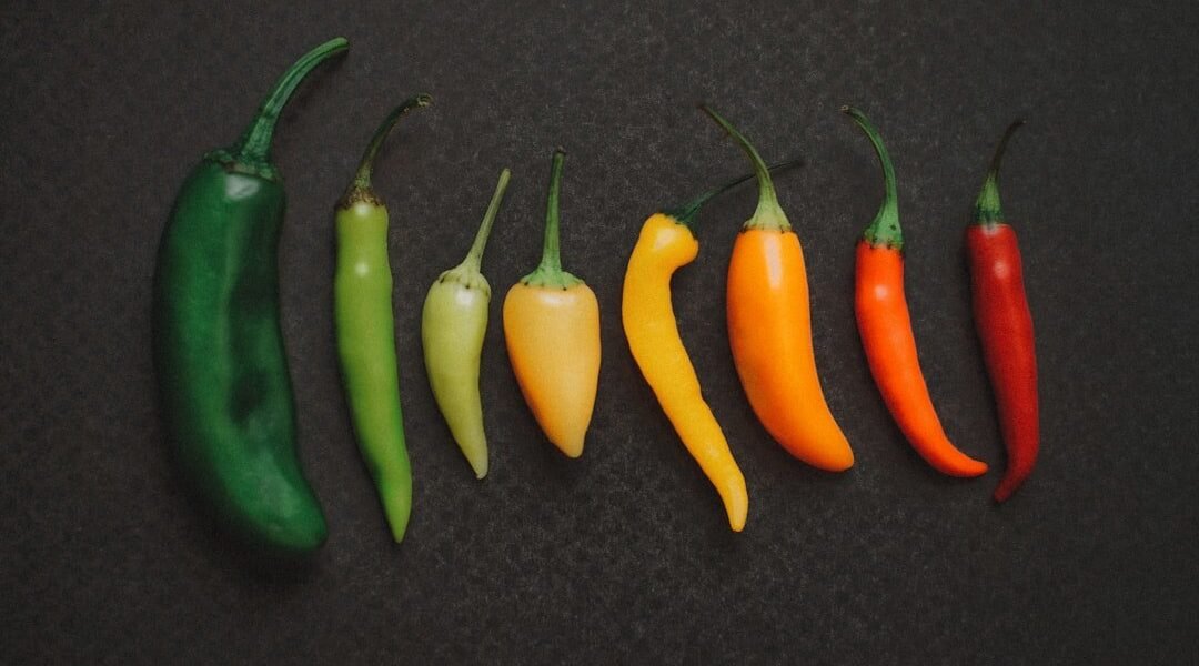 Autoridades mexicanas investigan contaminación por salmonela en jalapeños