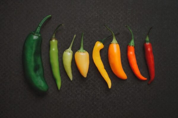 Autoridades mexicanas investigan contaminación por salmonela en jalapeños