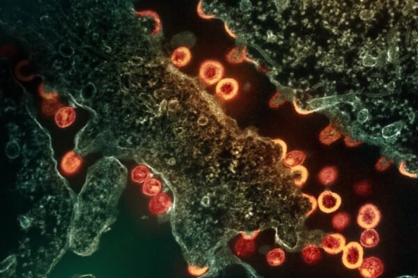 La revolución insulínica: cómo un científico mexicano cambió la medicina