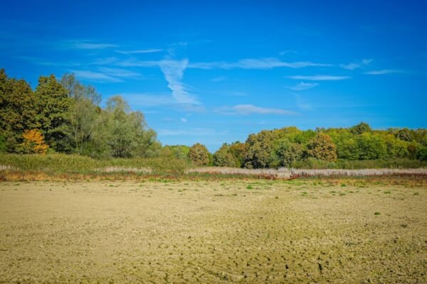 Calentamiento global amplifica El Niño: México se prepara para 2026-2027