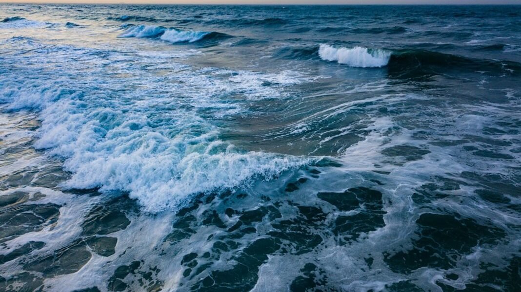 Más allá de los peces: cómo el océano ardiente amenaza nuestra seguridad