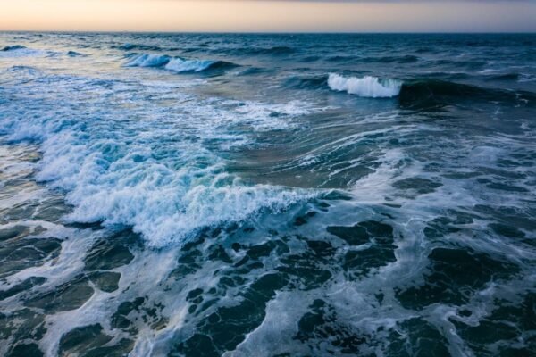 Más allá de los peces: cómo el océano ardiente amenaza nuestra seguridad