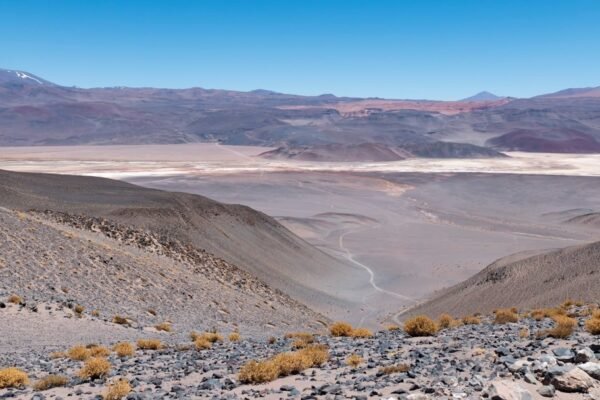 Cómo el petróleo y la minería están redibujando el poder económico en Argentina