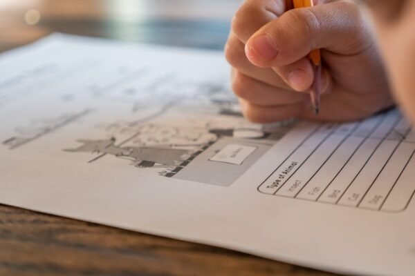 La industria del fraude educativo: cómo las redes explotan la angustia de ingreso a universidades