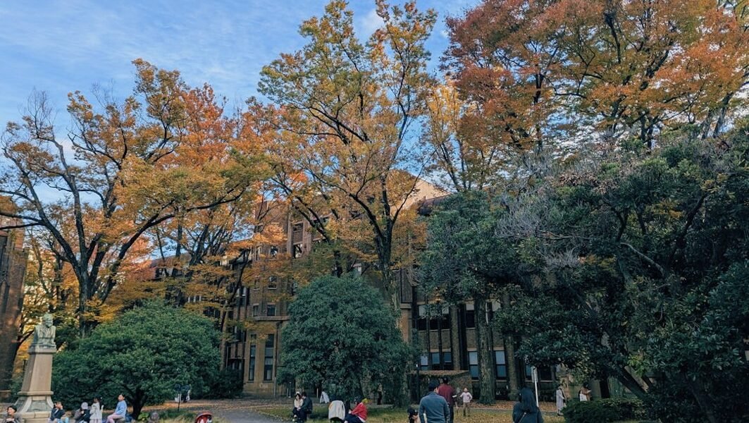 Más allá de la UNAM: el gobierno amplía opciones en educación superior