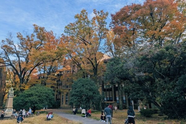 Más allá de la UNAM: el gobierno amplía opciones en educación superior