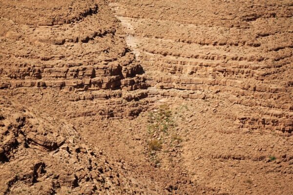 La frontera invisible: cómo la minería ilegal en Colombia amenaza pueblos indígenas aislados