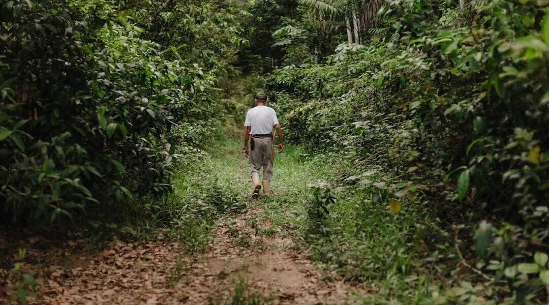 La frontera invisible: cómo la minería ilegal en Colombia amenaza ecosistemas compartidos