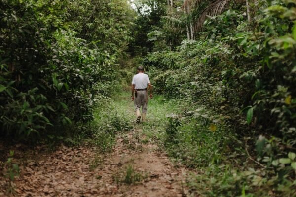 La frontera invisible: cómo la minería ilegal en Colombia amenaza ecosistemas compartidos