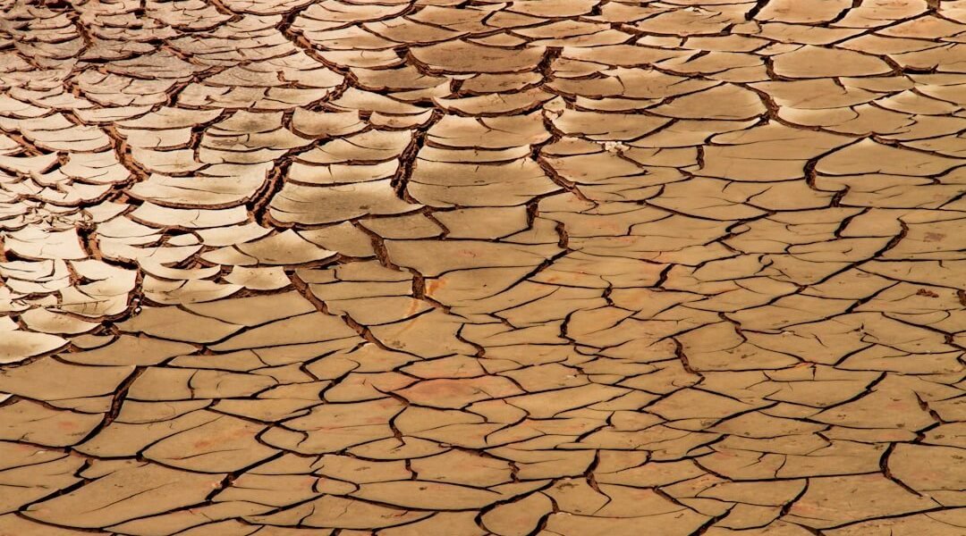 Latinoamérica en la encrucijada: tierra erosionada, hambre global y presión climática