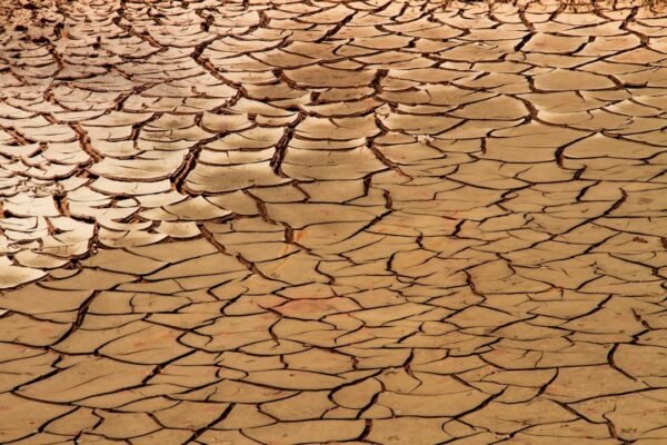 Latinoamérica en la encrucijada: tierra erosionada, hambre global y presión climática