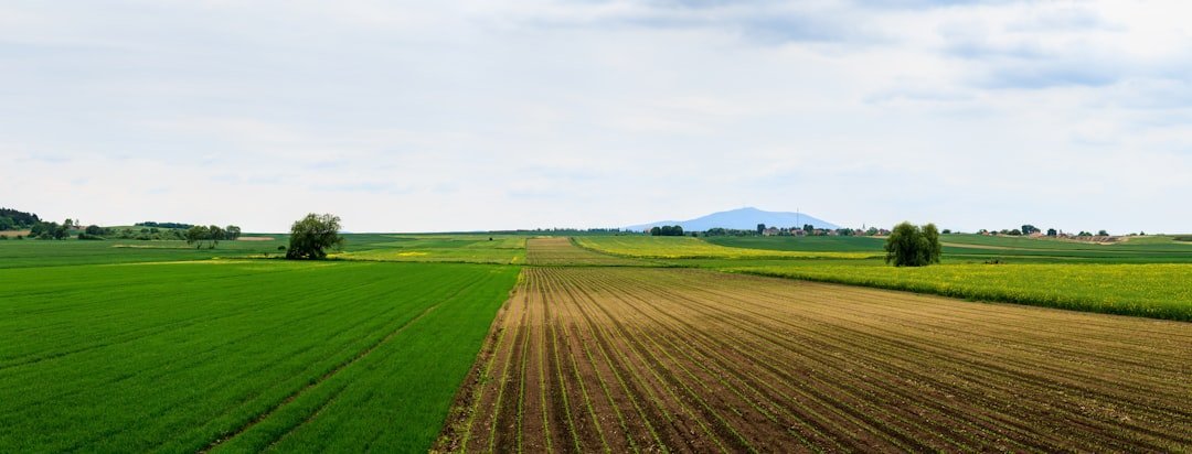 Latinoamérica en la encrucijada: cómo la COP17 sobre tierras afecta tu bolsillo