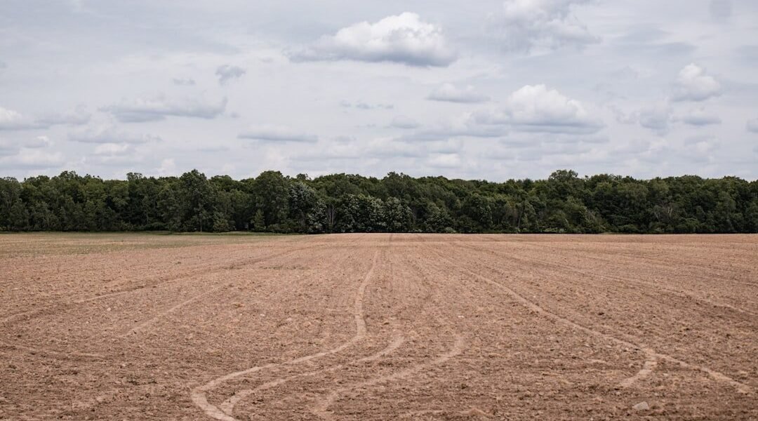 Latinoamérica en la encrucijada: tierra degradada, hambre global y presión climática