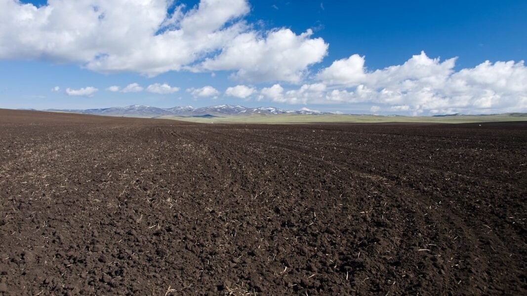 Tierras en crisis: Latinoamérica entre el hambre de alimentos y la sed de soluciones