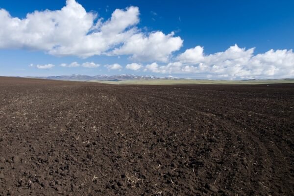 Tierras en crisis: Latinoamérica entre el hambre de alimentos y la sed de soluciones